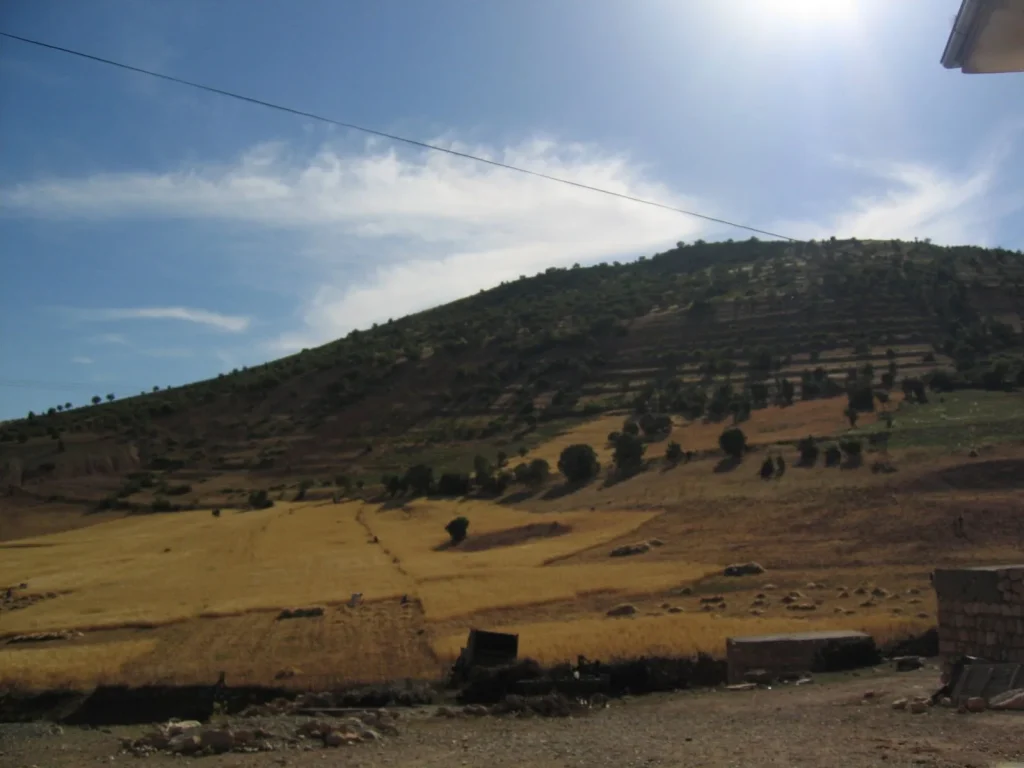Landschaft Gohra Tahlo bei Erdo