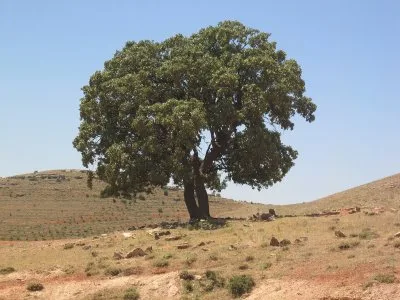 Landschaft Tirb bei Erdo