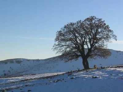Landschaft Tirb bei Erdo
